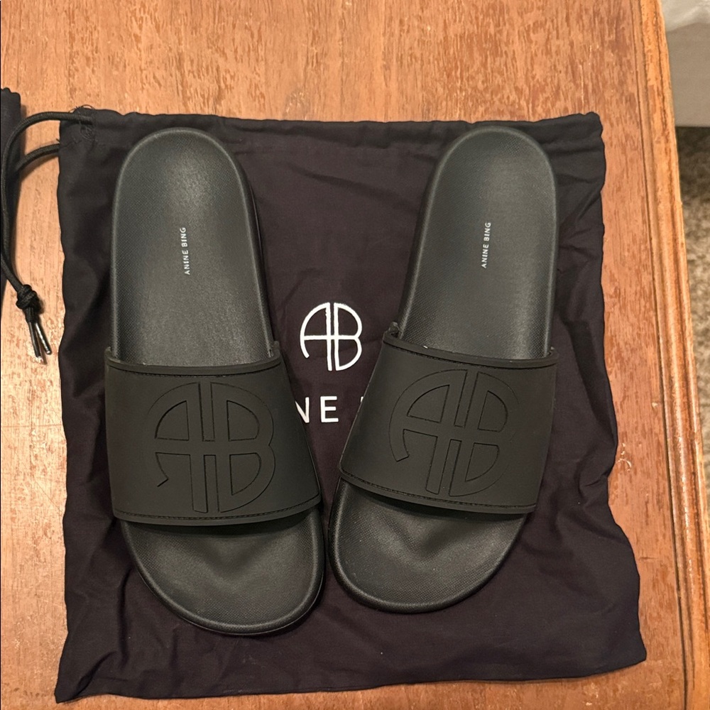 Anine Bing Black Women's Sandals